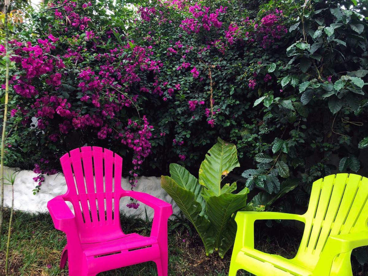 Monte Fresco Hostel Boutique Puntarenas Extérieur photo